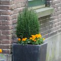 IMG_583203