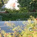 IMG_621061