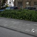 IMG_621409