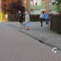 IMG_621499