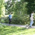 IMG_601645