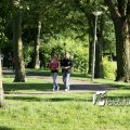 IMG_601700