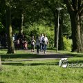 IMG_601715