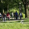 IMG_601869