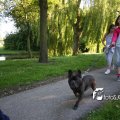 IMG_602865