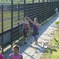 IMG_603350
