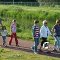 IMG_603376