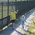 IMG_603383