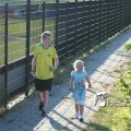 IMG_603387