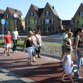 IMG_605341