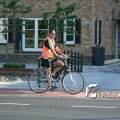 IMG_605481
