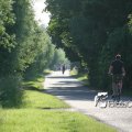 IMG_605529