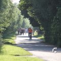 IMG_605533