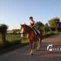 IMG_606831