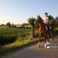 IMG_606833