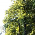IMG_606860