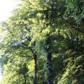 IMG_606862