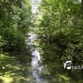 IMG_618854
