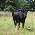 IMG_618941