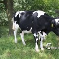 IMG_618947