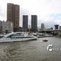 IMG_617337