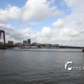 IMG_617394