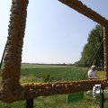 IMG_625186