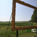IMG_625187