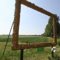 IMG_625188