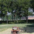 IMG_625278