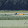 IMG_625281