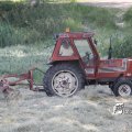 IMG_625284