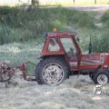 IMG_625286