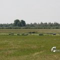 IMG_625291
