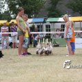IMG_625620
