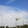 IMG_1159