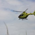 IMG_1161