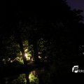 IMG_628418