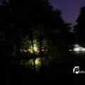 IMG_628421
