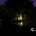 IMG_628424