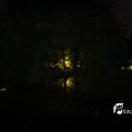 IMG_628426