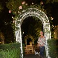 IMG_628463