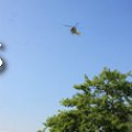 IMG_628731