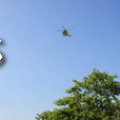IMG_628733