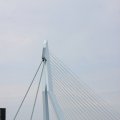 IMG_628686
