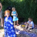 IMG_630842