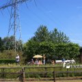 IMG_630860