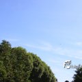 IMG_630869