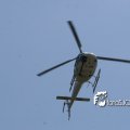 IMG_631274