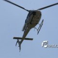 IMG_631275